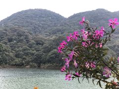 -广州市石门国家森林公园