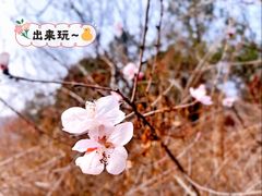 -香山公园