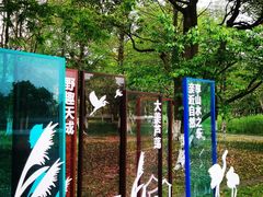 -沙家浜风景区