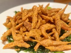 -阿五黄河大鲤鱼(英协路店)