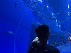 -成都浩海立方海洋公园