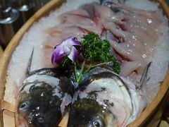 -吃城都·鱼蛙火锅(西玉龙街店)