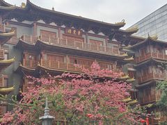 -大佛寺高级素食自助餐厅