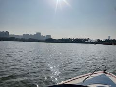 -洋湖国家湿地公园