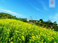 -云顶山风景区
