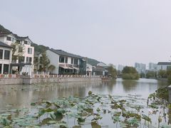 -湘湖金融镇