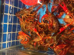 -海汕记·潮汕鲜牛肉火锅·自助