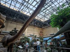 -国家自然博物馆