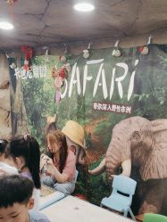 -卡通尼·Safari非洲探索乐园·生日会(金桥国际商业广场店)