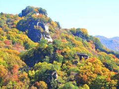 -五女峰国家森林公园