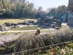 -宁波野生动物园