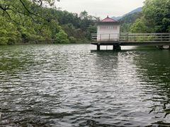 -天花井景区
