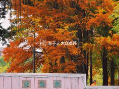 -金砂公园