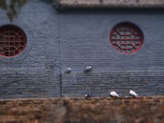 -洛阳白马寺