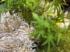 -丰收日(五角场店)