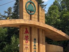 -五营国家森林公园