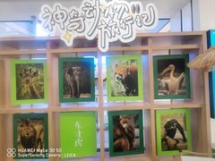 -凯德MALL(西直门店)