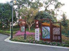 -清湖文化公园