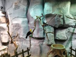 -Zoolung Zoolung动物主题公园(海信广场店)