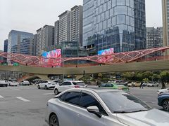 -合景·悠方(成都店)