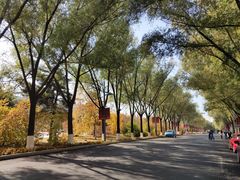 -吉林大学(前卫南区)