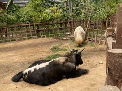 -呀路古热带植物园