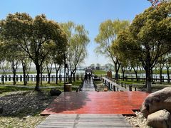 -苏州太湖湖滨国家湿地公园
