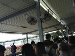 -国际邮轮中心码头(厦鼓码头)