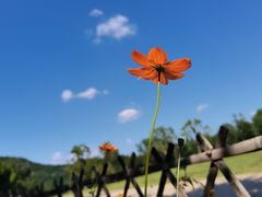 -北京西山国家森林公园