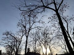 景点-景山公园
