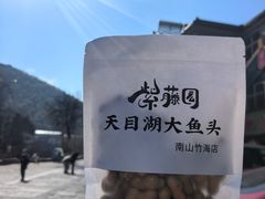 -紫藤园·天目湖大鱼头(南山竹海店)