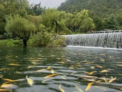 -楠溪江风景名胜区