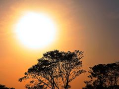 -盘龙城遗址博物院