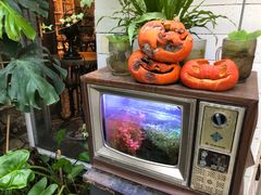-大水的店(昙华林店)