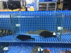 -瑶记海鲜餐厅(西涌店)