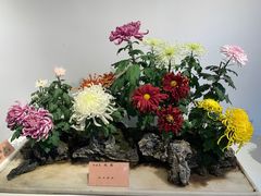 -汇龙潭
