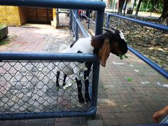 -长白岛森林公园