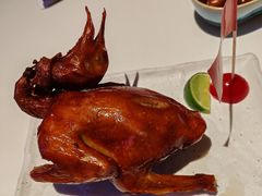 -侨美食家·40年地道粤菜(珠江新城店)