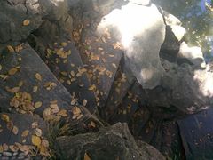 android_upload_pic-朱家角课植园