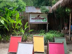 -大象粑粑造纸公园