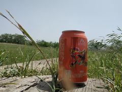 -汉长安城未央宫国家考古遗址公园