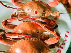 -四姑娘川味海鲜(八爪鱼店)