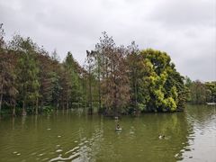 -海珠湖公园