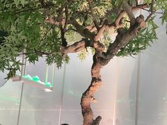 -绿茶餐厅(广州天河城店)