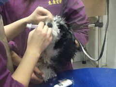 -惠康宠物医院(华能路店)