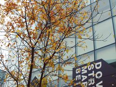 -OUR Bakery(三里屯太古里店)