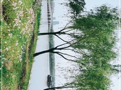 -石湖景区