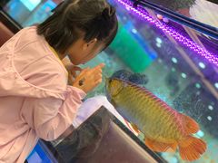 -新辉港式茶餐厅(北栅店)