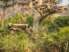 -石排湾郊野公园