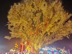 -淄博花灯齐彩城